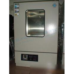 無錫市高溫箱批發(fā) 高溫箱供應 高溫箱廠家 